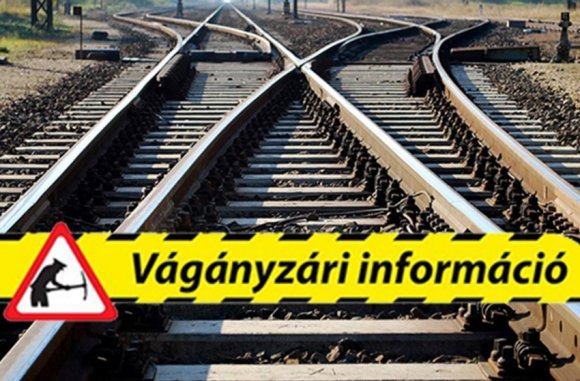 vaganyzark