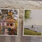 IMG_8613