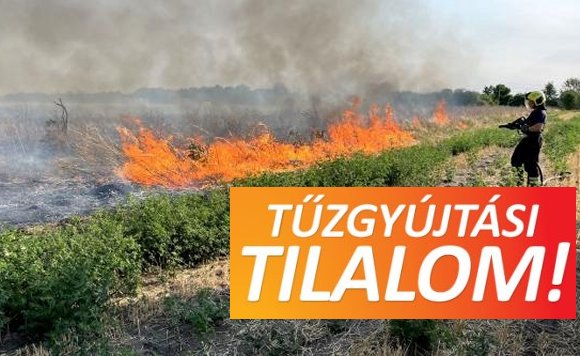 tuzgyujtask