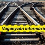 vaganyzar