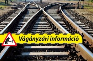 vaganyzar