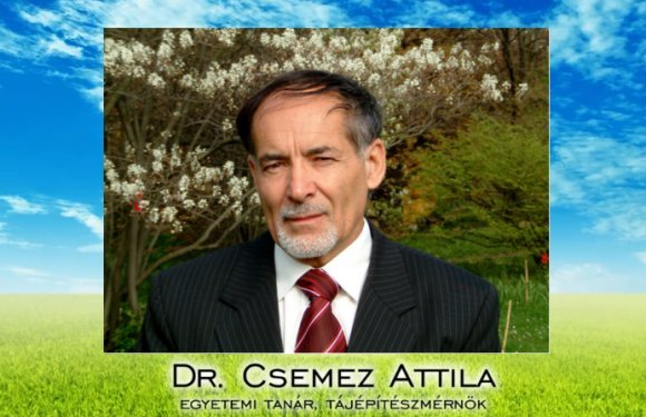 csemez.attila