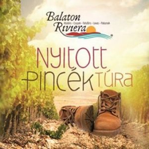 nyitottpincek2