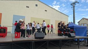 falunap1