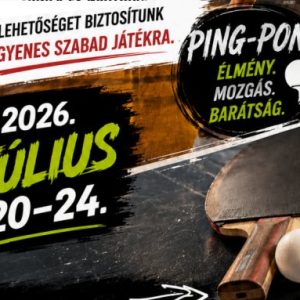 pingpongk