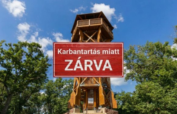 somlyo_zarva